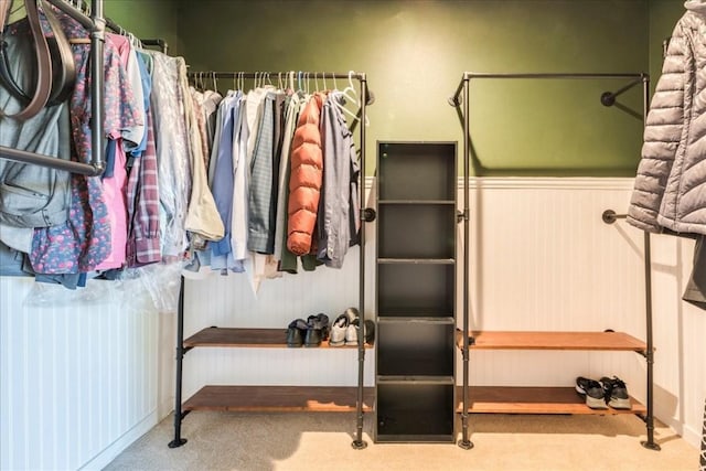 walk in closet featuring carpet flooring