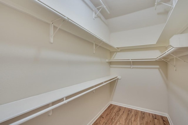 walk in closet featuring light hardwood / wood-style floors