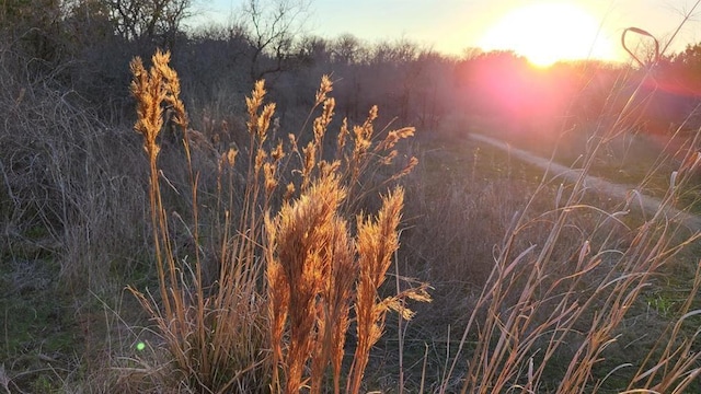 view of nature at dusk