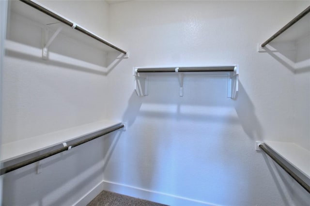 spacious closet featuring carpet floors