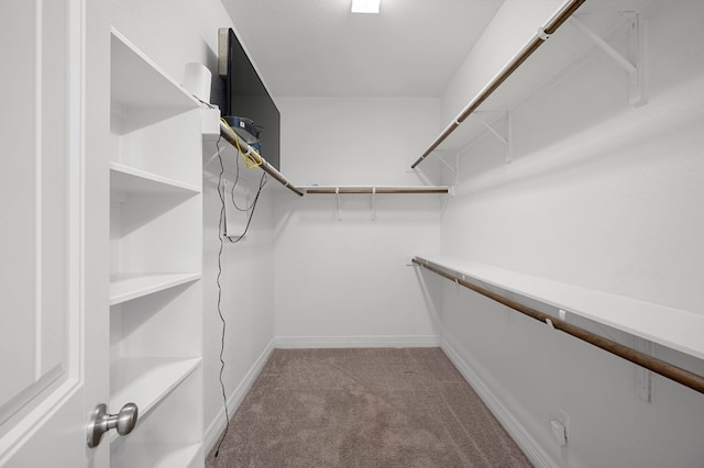 spacious closet with light carpet