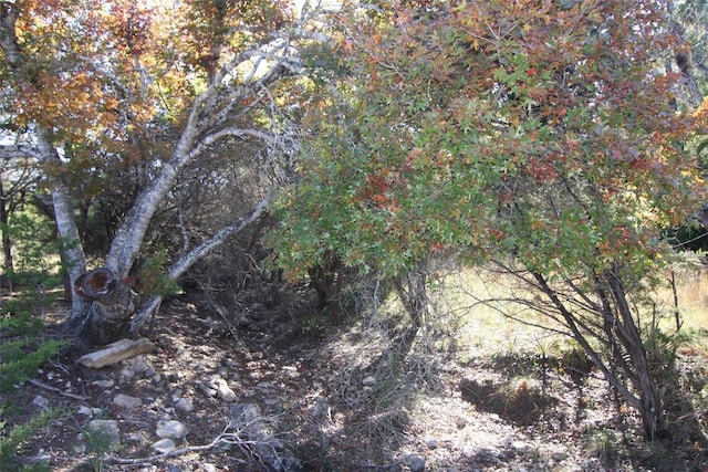 view of landscape