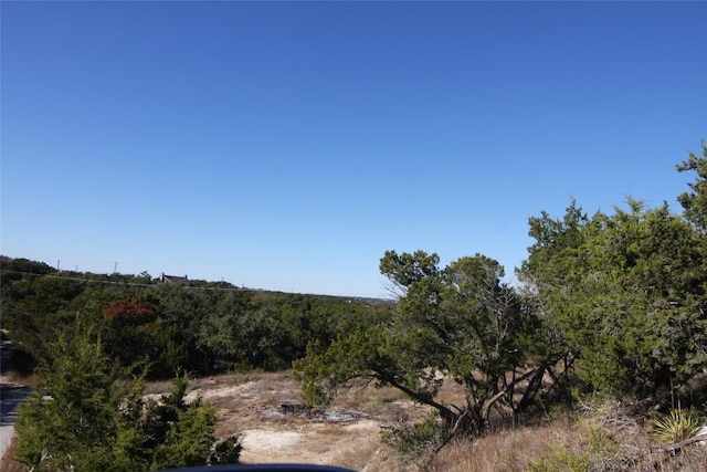 view of local wilderness