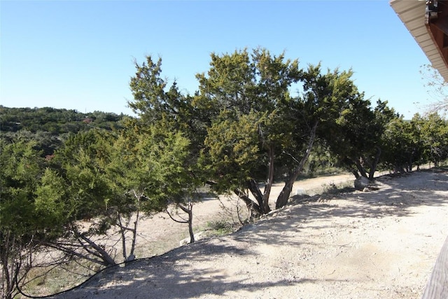 2030 Spring Valley Dr, Dripping Springs, TX 78620 - photo 18