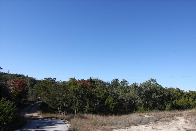 view of local wilderness