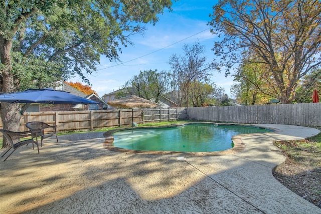 view of swimming pool with a patio area