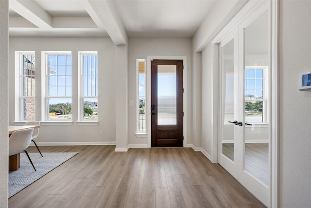 entryway featuring a wealth of natural light, baseboards, and wood finished floors