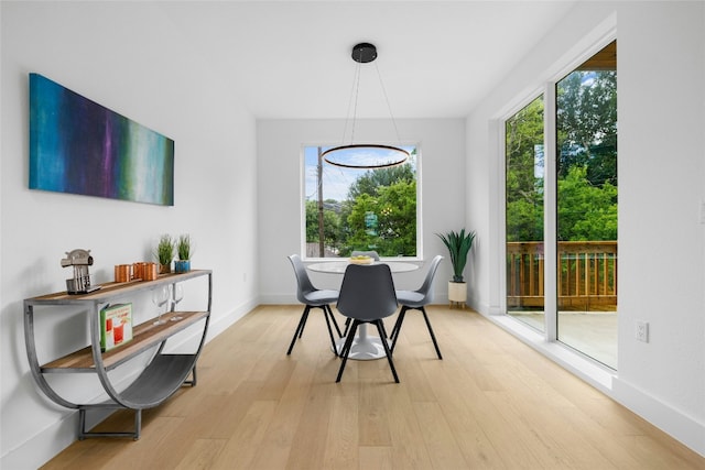 dining room with light hardwood / wood-style floors