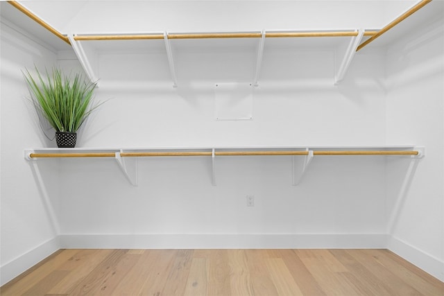 walk in closet featuring hardwood / wood-style floors