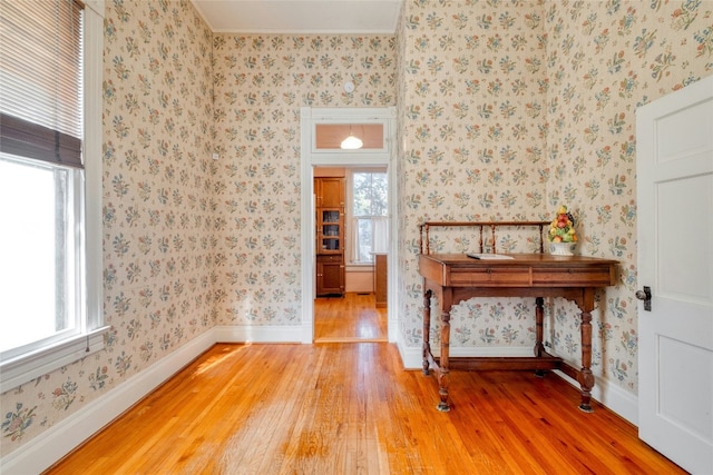 interior space featuring hardwood / wood-style floors