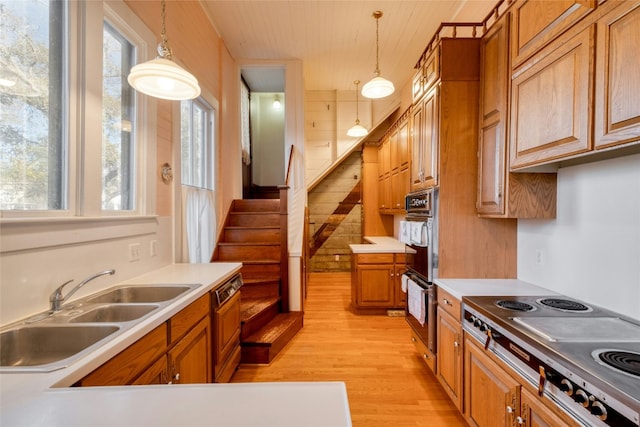 kitchen featuring light hardwood / wood-style floors, plenty of natural light, hanging light fixtures, and appliances with stainless steel finishes