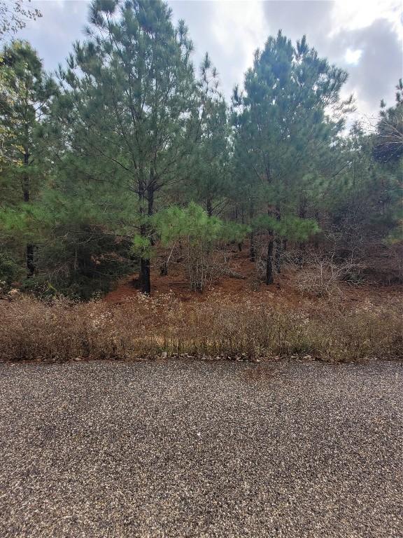 LOT584 Otani Ct, Bastrop TX, 78602 land for sale