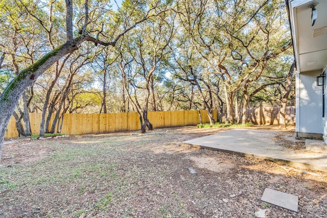 view of yard featuring a patio