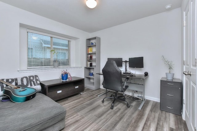 office area featuring wood-type flooring