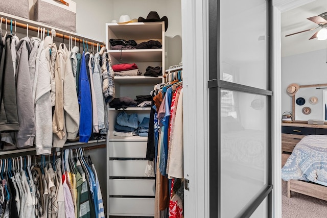 walk in closet with carpet and ceiling fan