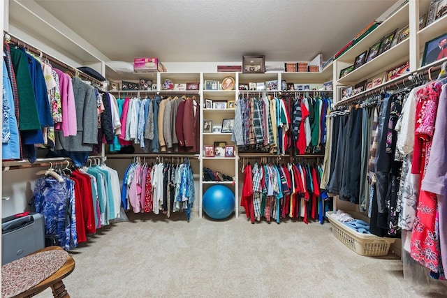 spacious closet featuring carpet floors