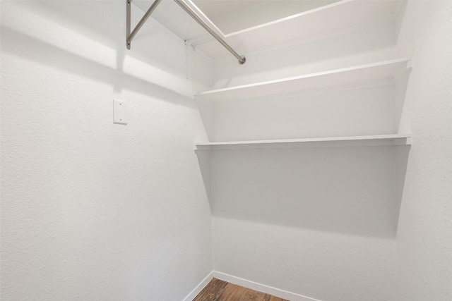 walk in closet featuring hardwood / wood-style flooring