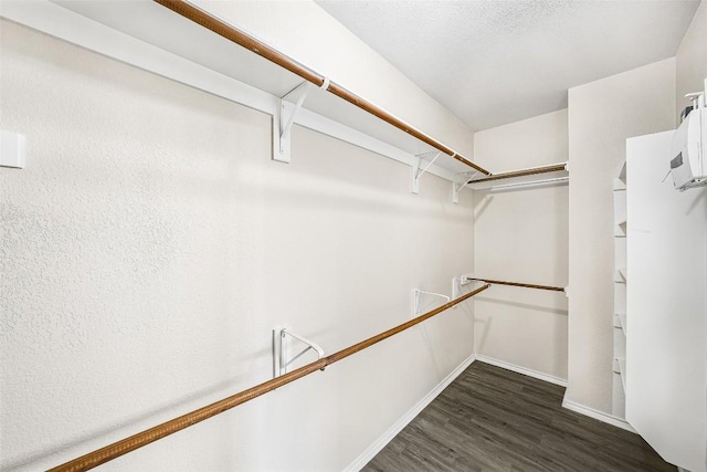 spacious closet featuring dark hardwood / wood-style floors