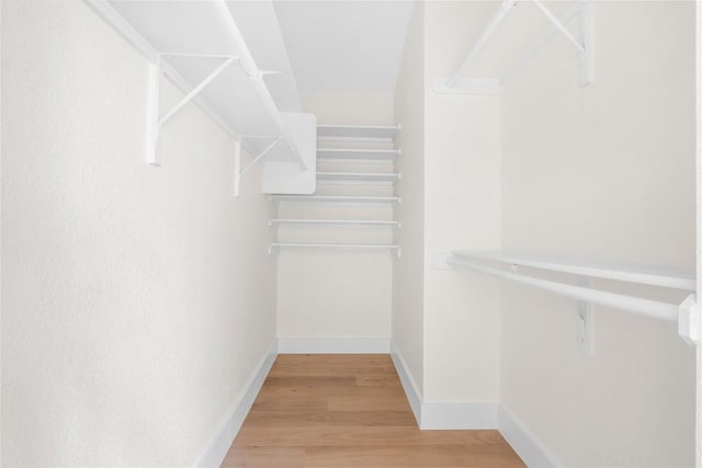 spacious closet with hardwood / wood-style flooring