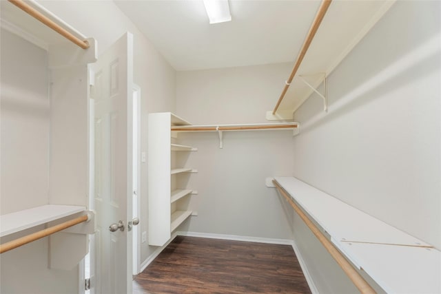 spacious closet featuring dark hardwood / wood-style flooring