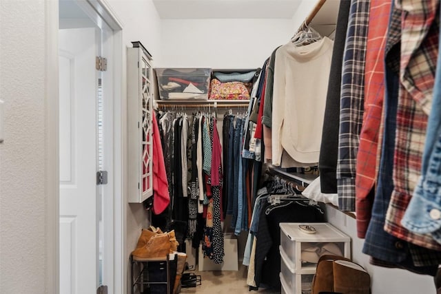 view of spacious closet