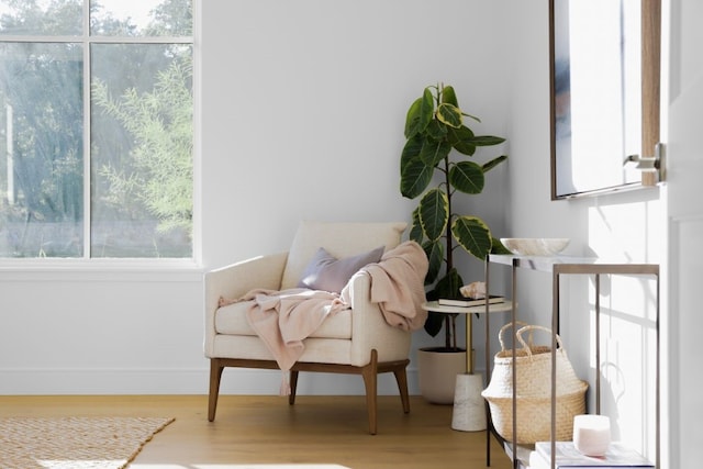 sitting room featuring hardwood / wood-style flooring