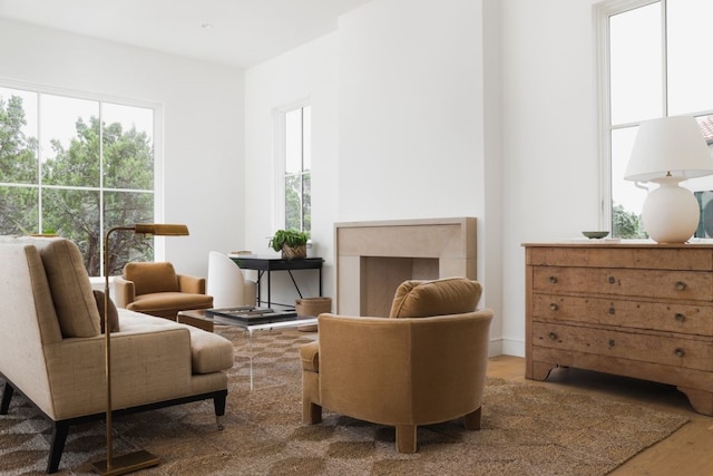 sitting room featuring a fireplace and wood finished floors