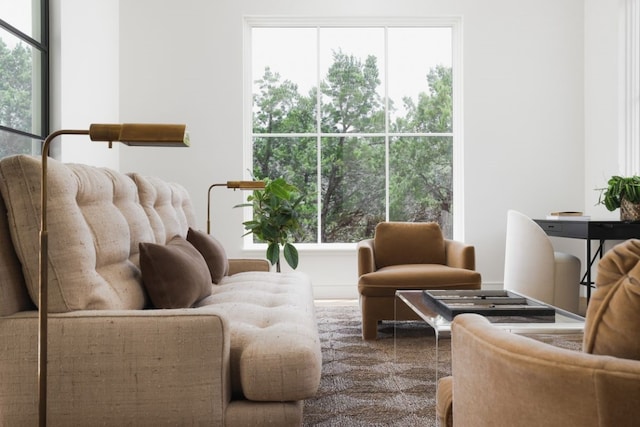 living room featuring a wealth of natural light