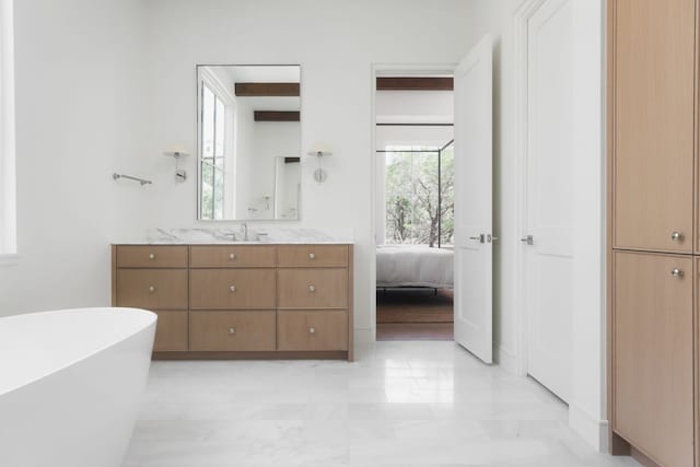 full bath featuring a freestanding tub, vanity, and a wealth of natural light