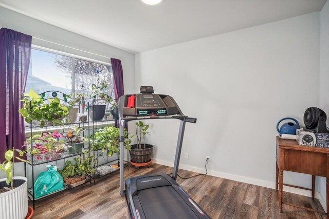 workout area featuring hardwood / wood-style flooring