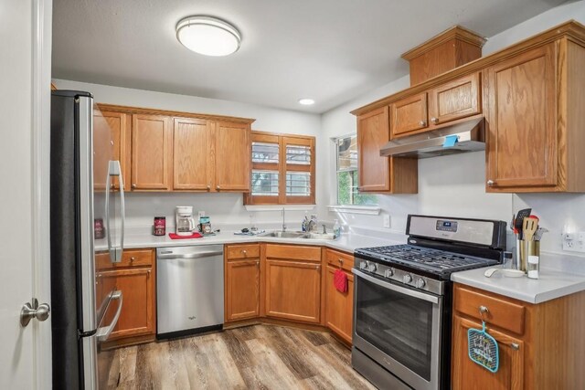 kitchen with sink, light wood-type flooring, and appliances with stainless steel finishes