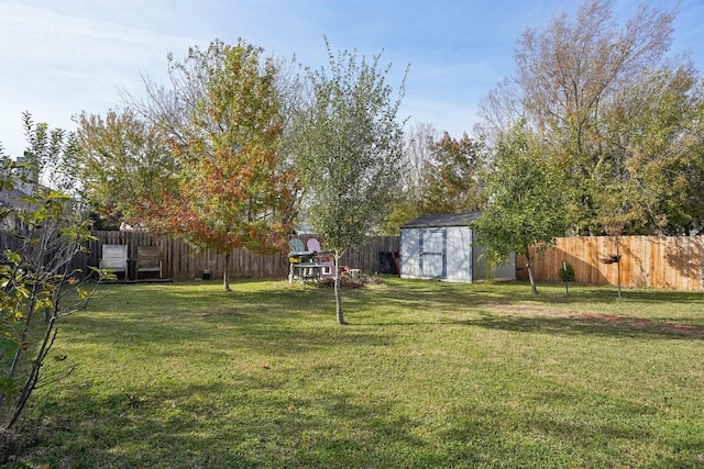 view of yard with a shed