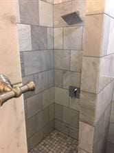 bathroom with a shower