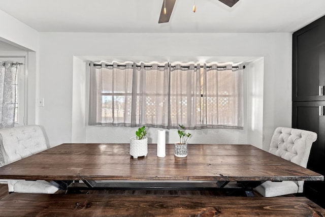 dining room featuring ceiling fan and plenty of natural light