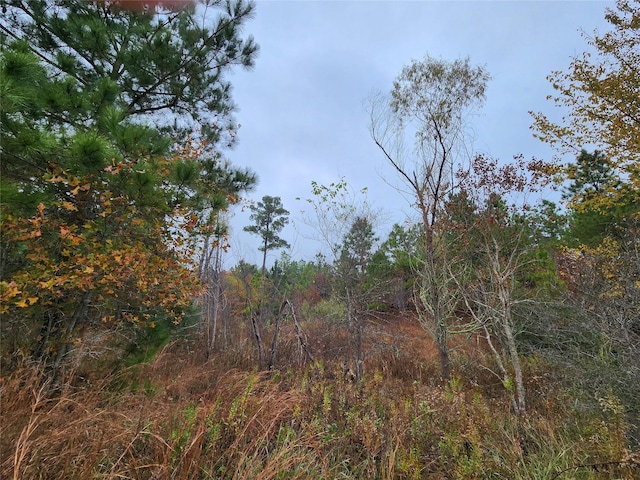 Listing photo 2 for LOT636 Mahalo Ct, Bastrop TX 78602