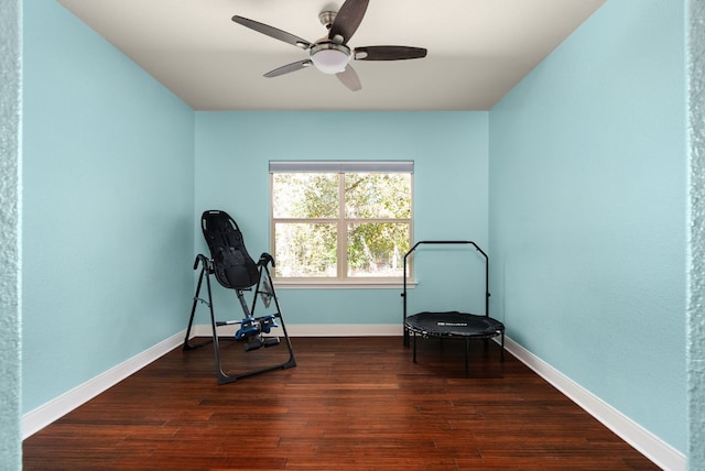 workout room with dark hardwood / wood-style floors and ceiling fan