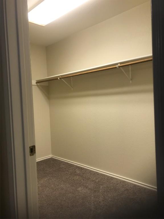 spacious closet with carpet