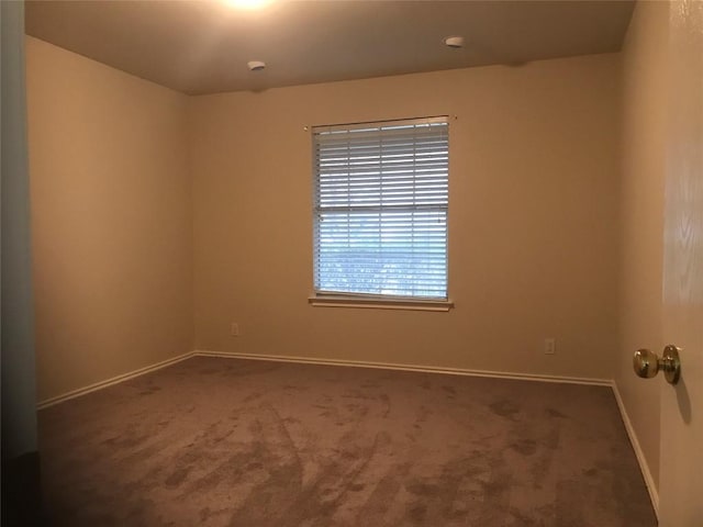 unfurnished room featuring carpet flooring