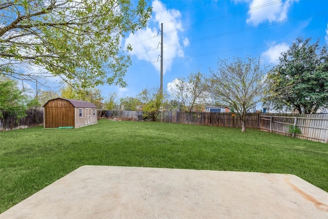 view of yard with a patio area and a storage shed