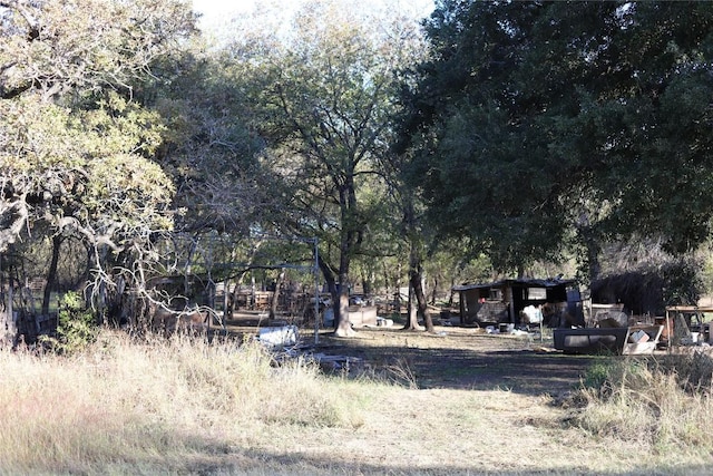 4591 Sweet Home Rd, Seguin, TX 78155 - photo 10