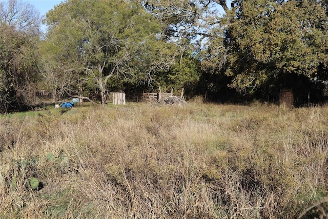 view of local wilderness