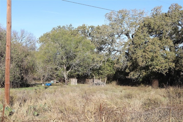 4591 Sweet Home Rd, Seguin, TX 78155 - photo 15