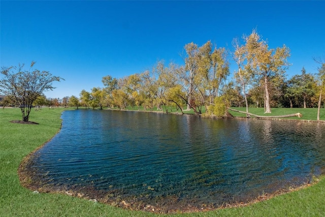 view of water feature