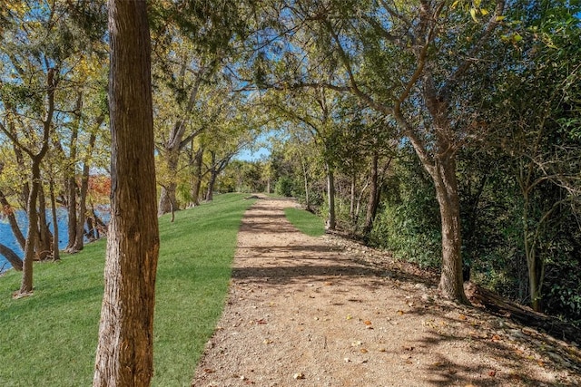 337 Madison Oaks Ave, Georgetown, TX 78626 - photo 2