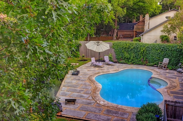 view of swimming pool with a patio area