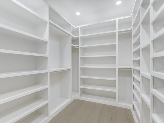 spacious closet with wood-type flooring