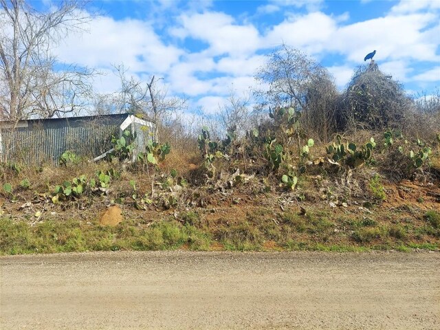TBD Young Rd, Smithville, TX 78957 - photo 2