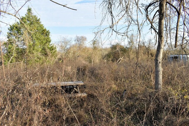 TBD Young Rd, Smithville, TX 78957 - photo 5