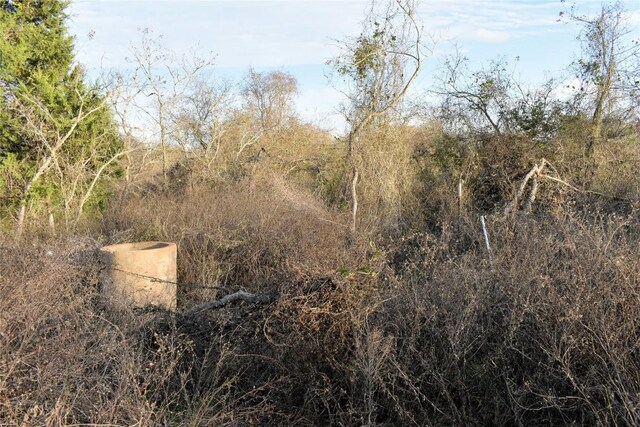 TBD Young Rd, Smithville, TX 78957 - photo 7