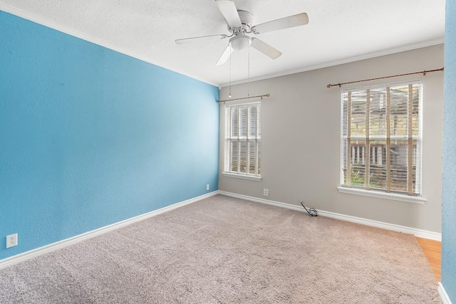 20024 W Lakeshore Dr, Magnolia, TX 77355 - empty room with plenty of natural light, a ceiling fan, carpet floors, and crown molding